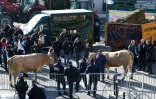 Des agriculteurs bloquent la circulation à Bordeaux le 21 février 2018 pour protester contre  le projet d'accord de libre-échange entre l'Union européenne et le Mercosur