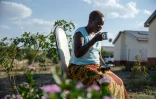 Alice Chenyika boit une infusion aux plantes, le 5 novembre 2018 à Harare