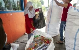 Des salariés rassemblent des bouteilles en plastique dans des sacs à Surabaya, en Indonésie, le 21 juillet 2019