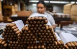 Des cigares fabriqués à Esteli, le 17 mai 2019