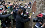 La ministre de la Culture Roselyne Bachelot (c) cloue le chiffre 1 sur le tronc d'un chêne sélectionné pourpour la reconstruction de la flèche de Notre-Dame, le 5 mars 2021 dans la forêt de Bercé, à Jupilles, dans la Sarthe