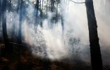 De la fumée s'élève dans une forêt de Lège-Cap-Ferret, le 29 juillet 2026.