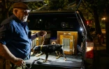 Richard Reynolds de l'association R.A.T.S sort son chien de sa caisse pour une chasse aux rats, le 14 mai 2021 à New York
