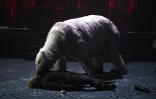 A un moment de la pièce "Arctique", un énorme ours polaire en peluche débarque, menaçant, "métaphore de cette nature qui se venge", explique Anne-Cécile Vandalem