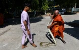 Un moine bouddhiste tient un serpent au monastère bouddhiste du canton de Mingalardon à Yangon, en Birmanie, le 12 janvier 2023