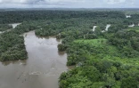 Vue aérienne de la rivière Moa qui entoure l'île de Tiwai, un trésor de biodiversité dans le sud-est de la Sierra Leone. 
Le complexe de Gola-Tiwai - composé de la réserve de Tiwai et du parc national de la forêt tropicale de Gola - est entré le 13 juillet 2025 au patrimoine mondial de l'humanité à l'issue d'un vote lors de la 47ème session du Comité du patrimoine mondial de l'Unesco
