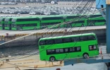 Des bus électriques Yutong, destinés à l'exportation, au port de Yantai, dans la province du Shandong, le 27 juillet 2026 dans l'est de la Chine