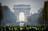 Manifestation de "gilets jaunes", le 24 novembre 2018 sur les Champs-Elysées à Paris