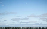 Pieux couverts de moules de bouchot, à marée basse à Bricqueville-sur-Mer, dans la Manche, le 13 septembre 2026