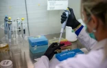 Une technicienne de laboratoire exécute un processus d'extraction d'ADN au Laboratoire de génétique de l'Université de Cordoba, en Argentine, le 13 mai 2026