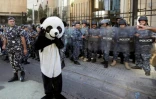 Un Libanais déguisé en panda manifeste devant le palais de justice à Beyrouth le 12 novembre 2019