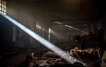 Plusieurs dizaines d'Afghans et Pakistanais campent dans un entrepôt insalubre à Belgrade, refusant de rejoindre un des treize centres officiels où 5.300 personnes sont hébergées.