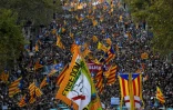 Des manifestants brandissent des  "esteladas", le drapeau rouge et jaune avec une étoile blanche sur fond bleu des indépendantistes catalans, le 21 octobre 2017 à Barcelone