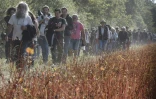 Des centaines de visiteurs sont venus à la rencontre des habitants de la ZAD 