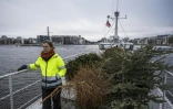 Malin Kjellin, chargée de projet pour l'association de pêche Sportfiskarna, sur le pont d'un bateau transportant des sapins de Noël, collectés après les fêtes, qui seront jetés dans les eaux un lac d'une zone industrielle à Stockholm, le 12 janvier 2024 en Suède
