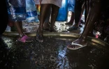 Des habitants font la queue lors d'une distribution d'eau Ă Adelaide, le 26 novembre 2019 en Afrique du Sud