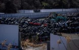 Des sacs remplis de terre contaminée sont stockés sur un site près de la centrale nucléaire de Fukushima, le 19 février 2025