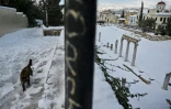 Une rue du centre d'Athènes le 25 janvier 2022 après une tempâte de neige