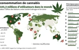 La consommation de cannabis