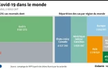 Le Covid-19 dans le monde