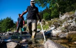 Opération de pêche électrique pour sauver les poissons de la rivière "La Savoureuse", victimes de la sécheresse, le 5 août 2020 à Lepuix, dans le Territoire de Belfort