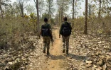 Des paramilitaires, membres des Gardes de la réserve de district (DRG) en patrouille lors d'un entraînement à Dantewada, dans le district de Bastar de l'Etat de Chhattisgahr, le 16 mars 2025 dans le centre de l'Inde