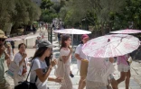 Des touristes, qui attendent pour accéder au site de l'Acropole, se protègent du soleil avec des ombrelles, le 1er juillet 2025 à Athènes 