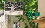 Record de chaleur battu à Carpentras, dans le Vaucluse, le 28 juin 2019