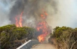 Mardi 12 octobre 2010 - incendie au Piton Maïdo (photo: Jean-Michel Probst)