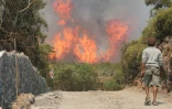 Mardi 12 octobre 2010 - incendie au Piton Maïdo (photo: Jean-François Benard)