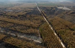 Vue aérienne depuis un hélicoptère du Service départemental d'incendie et de secours (SDIS 33) des ravages causés par un incendie à Landiras, le 23 juillet 2022 