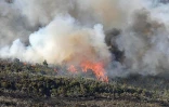 Mercredi 13 Octobre 2010

Incendie au Maïdo