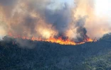 Mercredi 13 Octobre 2010

Incendie au Maïdo