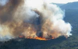Mercredi 13 Octobre 2010

Incendie au Maïdo