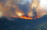 Incendie au Maïdo
