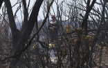 Dimanche 17 Octobre 2010

Incendie au Maïdo