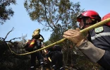 Dimanche 17 Octobre 2010

Incendie au Maïdo