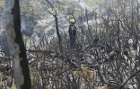 Dimanche 17 Octobre 2010

Incendie au Maïdo