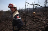 Dimanche 17 Octobre 2010

Incendie au Maïdo