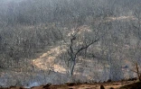 Lundi 18 Octobre 2010

Incendie du Maïdo