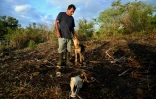 L'agriculteur Darwin Cruz se tient près de la carcasse d'une vache, à San Lorenzo au Honduras, le 4 septembre 2026