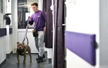 Un employé du refuge Mayhew sort le chien Astro pour une promenade, le 3 avril 2025 à Londres
