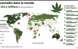 Le cannabis dans le monde