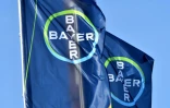 Bayer ne semble pas vouloir arrêter la production du glyphosate, toujours plébiscité par les cultivateurs pour son efficacité et son faible coût mais très critiqué, notamment en Europe
