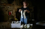 Chloé Pimont, une comédienne parisienne et végétarienne devenue éleveuse de brebis dans le Morvan, montre des chaussettes faites avec la laine de ses moutons, le 29 septembre 2025 à Monthelon, en Saône-et-Loire
