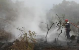 Lundi 18 Octobre 2010

Incendie du Maïdo