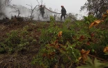 Lundi 18 Octobre 2010

Incendie du Maïdo