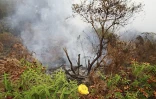 Lundi 18 Octobre 2010

Incendie du Maïdo