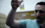 850 serpents d'une soixantaine d'espèces sont élevés chez Venom World, près de Paris afin d'extraire leurs venins, qui intéressent de près la recherche et l'industrie pharmaceutique