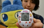 Une employée du groupe japonais Bandai présente un nouveau Tamagotchi le 27 novembre 2013 à Tokyo